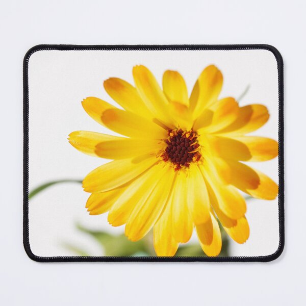 Item preview, Golden Girl designed and sold by Kasia Design.