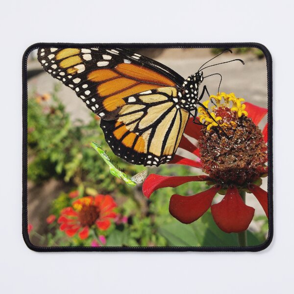 Item preview, Healing The Earth Through Pollination: Monarch Butterfly 1B  12/19 designed and sold by Unlimited Imagination .