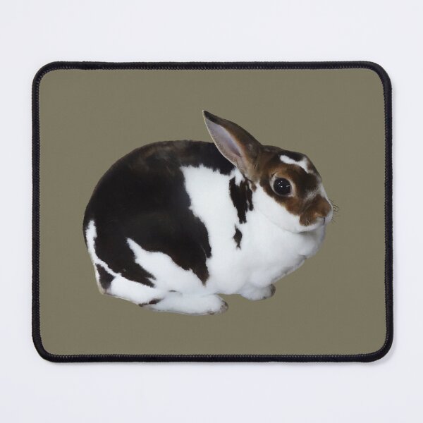 Item preview, Brown and White Miniature Rex Rabbit designed and sold by Susan Savad.