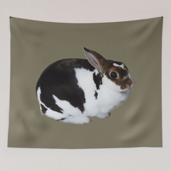 Item preview, Brown and White Miniature Rex Rabbit designed and sold by Susan Savad.