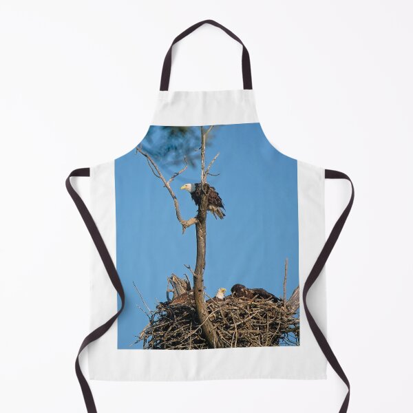Item preview, Bald eagles and juveniles, UW Arboretu, Madison, WI designed and sold by StevenRalserPhoto.
