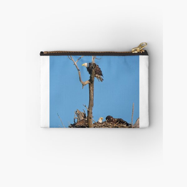 Item preview, Bald eagles and juveniles, UW Arboretu, Madison, WI designed and sold by StevenRalserPhoto.