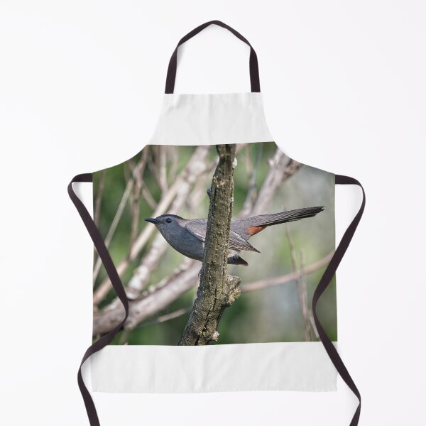 Item preview, Gray Catbird, UW Arboretum, Madison, WI designed and sold by StevenRalserPhoto.