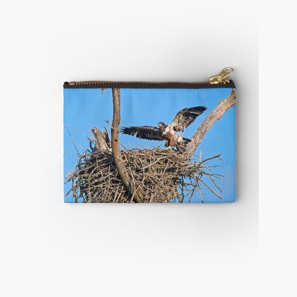 Item preview, Bald Eagle juvenile. UW Arboretum, Madison, WI. 4 designed and sold by StevenRalserPhoto.