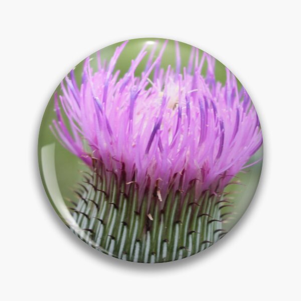 Item preview, Thistle designed and sold by TiffanyMaeDesign.