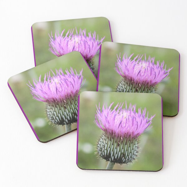 Item preview, Thistle designed and sold by TiffanyMaeDesign.