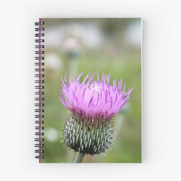 Item preview, Thistle designed and sold by TiffanyMaeDesign.