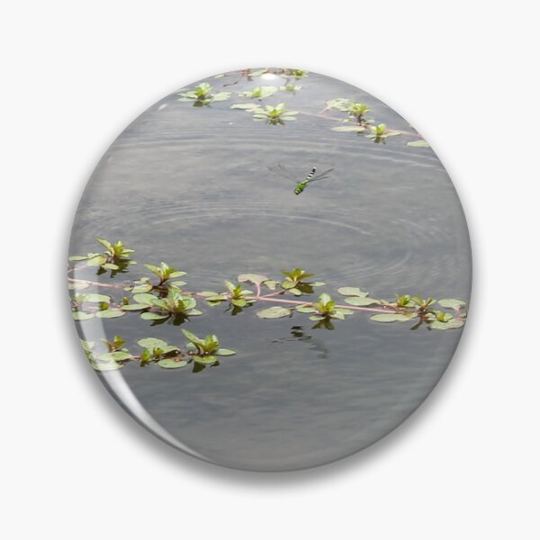 Item preview, A Flight-ful Afternoon designed and sold by TiffanyMaeDesign.