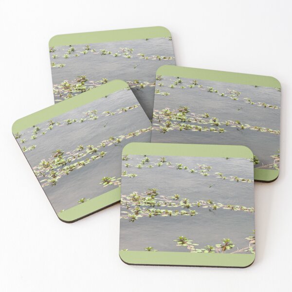 Item preview, A Flight-ful Afternoon designed and sold by TiffanyMaeDesign.