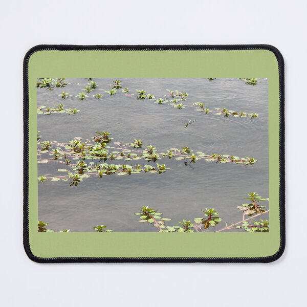 Item preview, A Flight-ful Afternoon designed and sold by TiffanyMaeDesign.