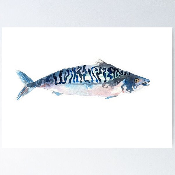 Item preview, Mackerel painting designed and sold by hlclarkillo.