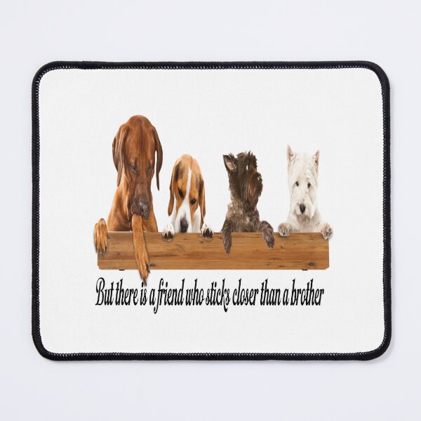 Item preview, Proverbs 18:24 But there is a friend who sticks closer than a brother designed and sold by Dailywalker22.