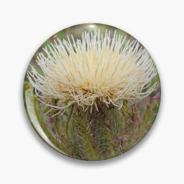 Item preview, Yellow Bull Thistle designed and sold by TiffanyMaeDesign.
