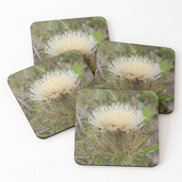 Item preview, Yellow Bull Thistle designed and sold by TiffanyMaeDesign.