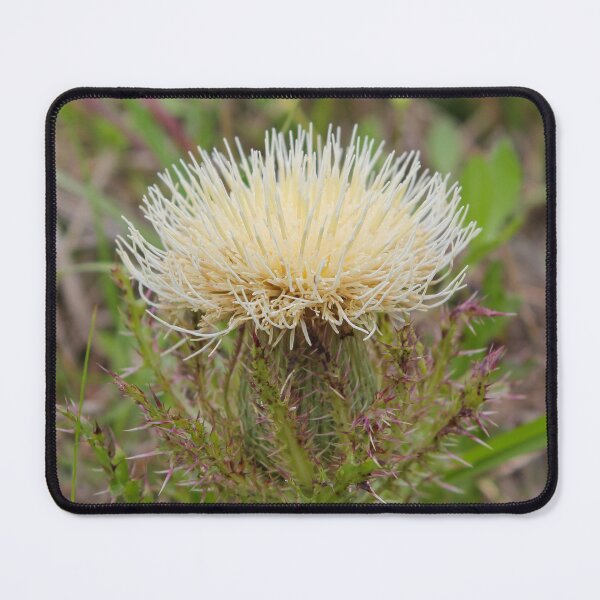 Item preview, Yellow Bull Thistle designed and sold by TiffanyMaeDesign.