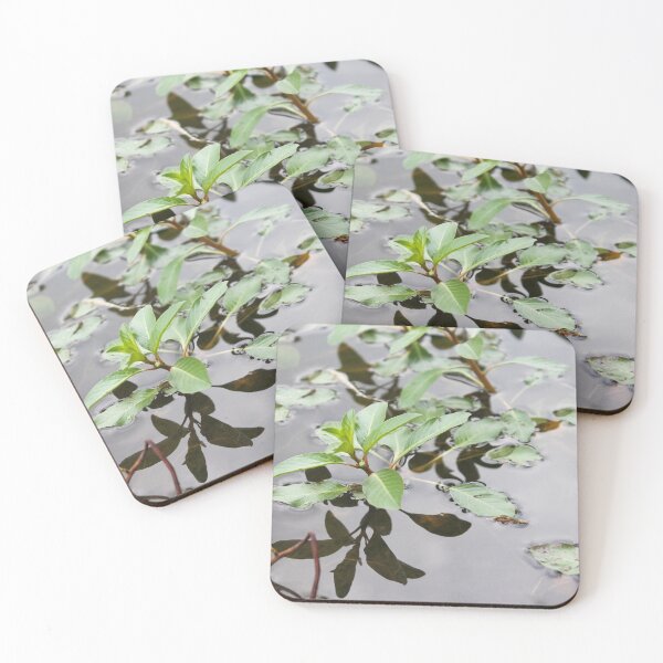 Item preview, Above and Below the Surface designed and sold by TiffanyMaeDesign.
