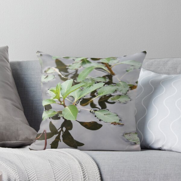 Item preview, Above and Below the Surface designed and sold by TiffanyMaeDesign.