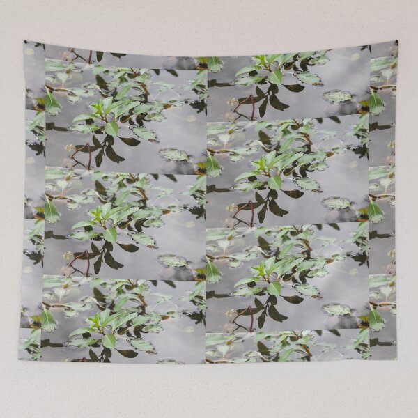Item preview, Above and Below the Surface designed and sold by TiffanyMaeDesign.