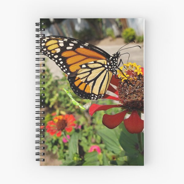 Item preview, Monarch Butterfly Pleasing Earth RZ 12/19 designed and sold by Unlimited Imagination .