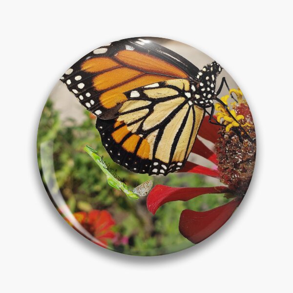 Item preview, Monarch Butterfly Pleasing Earth RZ 12/19 designed and sold by Unlimited Imagination .