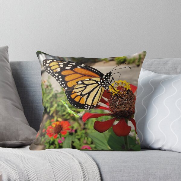 Item preview, Monarch Butterfly Pleasing Earth RZ 12/19 designed and sold by Unlimited Imagination .