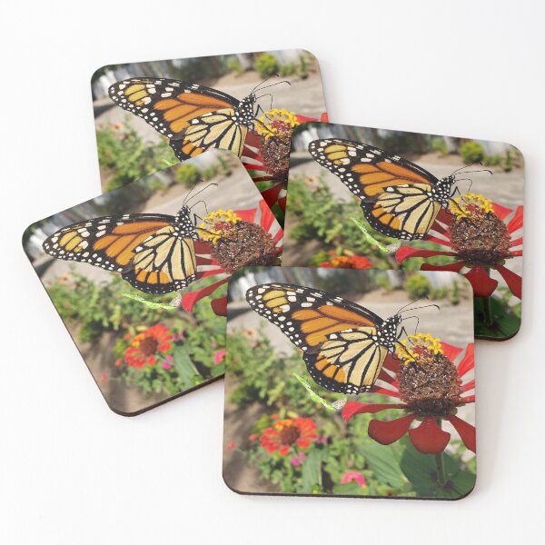 Item preview, Monarch Butterfly Pleasing Earth RZ 12/19 designed and sold by Unlimited Imagination .
