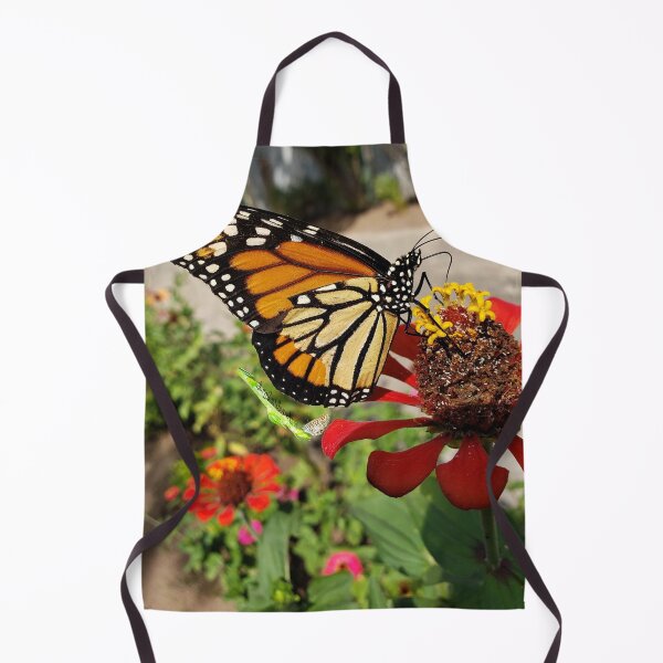 Item preview, Monarch Butterfly Pleasing Earth RZ 12/19 designed and sold by Unlimited Imagination .