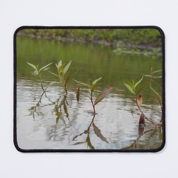 Item preview, Harmony designed and sold by TiffanyMaeDesign.