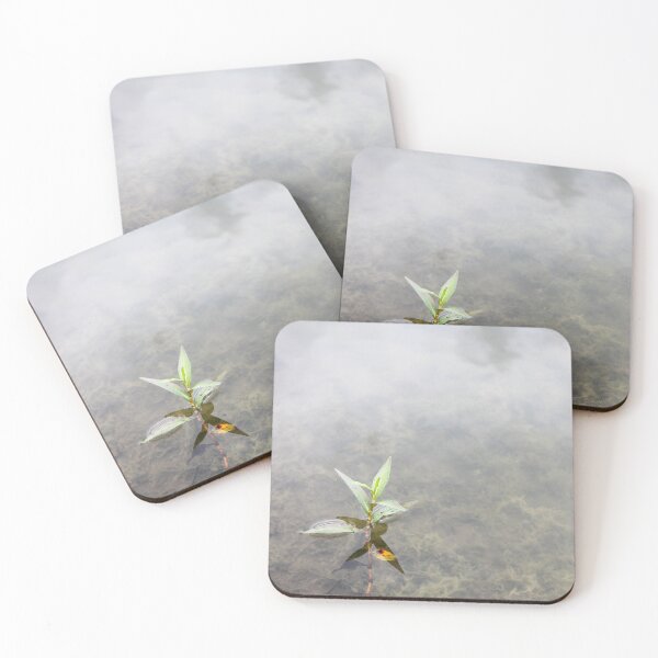 Item preview, Floating Primrose-Willow designed and sold by TiffanyMaeDesign.