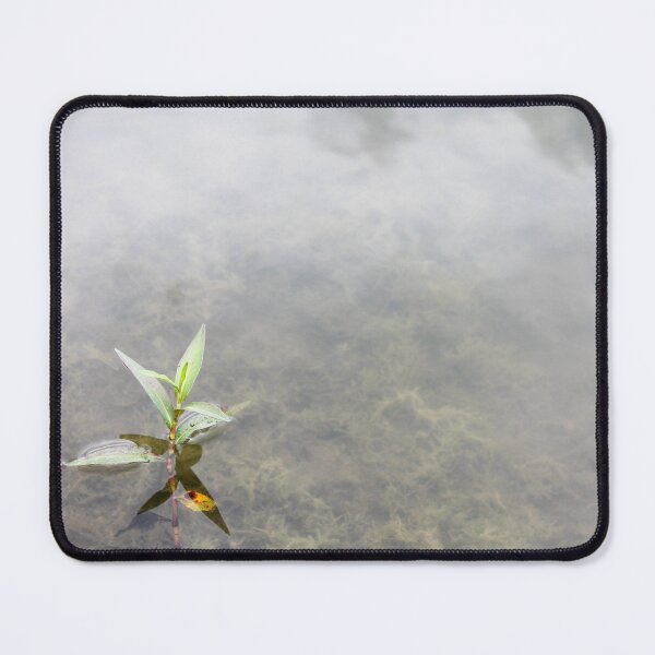 Item preview, Floating Primrose-Willow designed and sold by TiffanyMaeDesign.