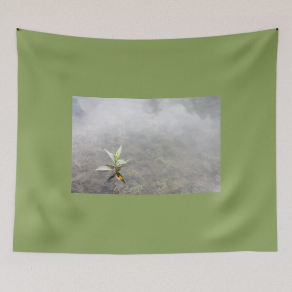 Item preview, Floating Primrose-Willow designed and sold by TiffanyMaeDesign.
