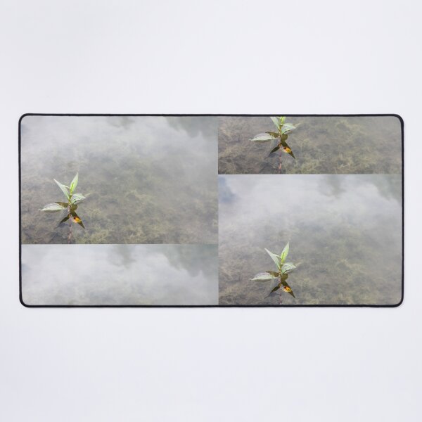 Item preview, Floating Primrose-Willow designed and sold by TiffanyMaeDesign.
