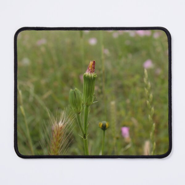 Item preview, Graying Dandelion designed and sold by TiffanyMaeDesign.