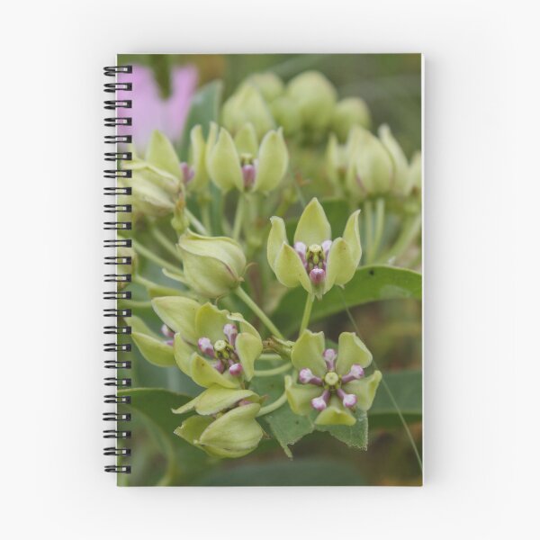 Item preview, Spider Milkweed designed and sold by TiffanyMaeDesign.