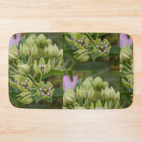 Item preview, Spider Milkweed designed and sold by TiffanyMaeDesign.
