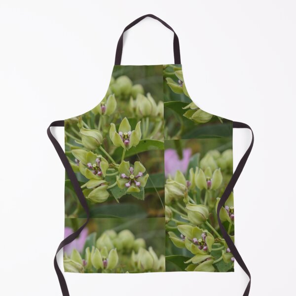 Item preview, Spider Milkweed designed and sold by TiffanyMaeDesign.