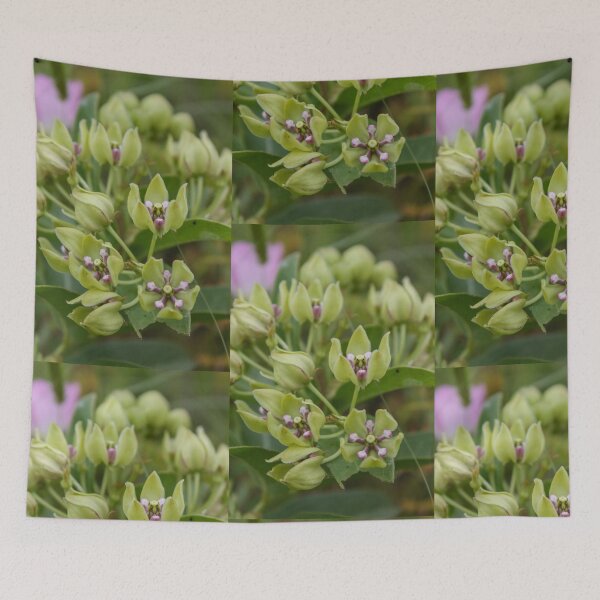 Item preview, Spider Milkweed designed and sold by TiffanyMaeDesign.