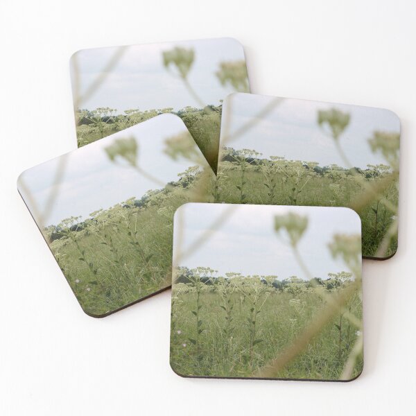 Item preview, Pollinator's Point of View designed and sold by TiffanyMaeDesign.