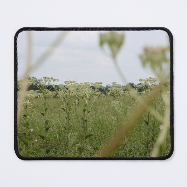 Item preview, Pollinator's Point of View designed and sold by TiffanyMaeDesign.