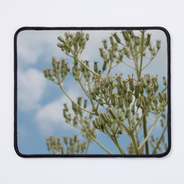 Item preview, Indian Plantain designed and sold by TiffanyMaeDesign.