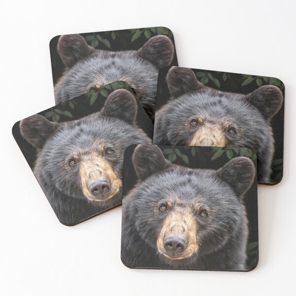 Item preview, Bear designed and sold by Savannah Gibbs.