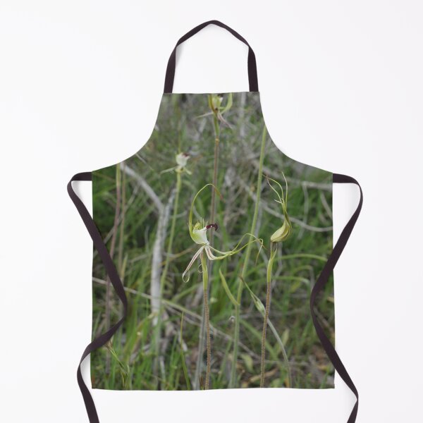 Item preview, Caladenia tentaculata Large Green-comb Spider-Orchid designed and sold by Todays a Good Day.