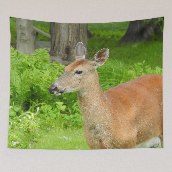 Item preview, Summer Doe designed and sold by priesterjen.