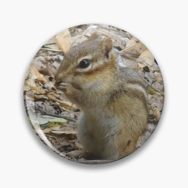 Item preview, Chipmunk 2 designed and sold by priesterjen.