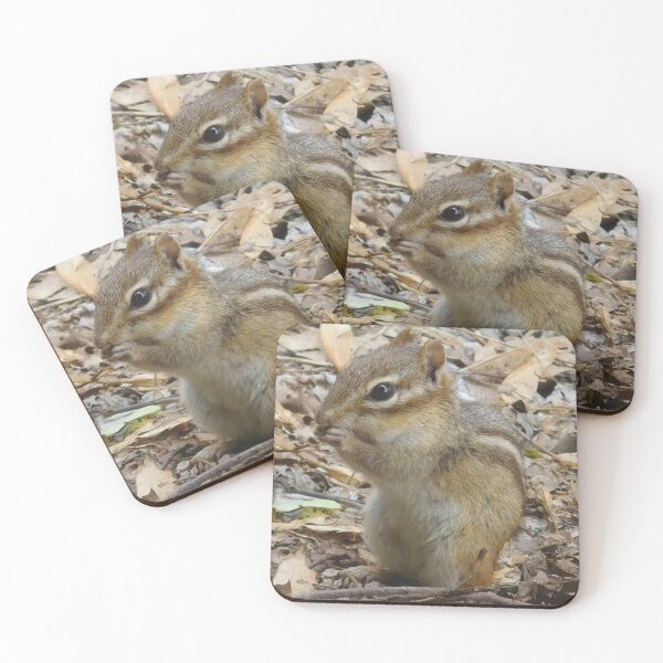 Item preview, Chipmunk 2 designed and sold by priesterjen.