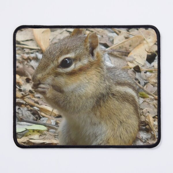 Item preview, Chipmunk 2 designed and sold by priesterjen.