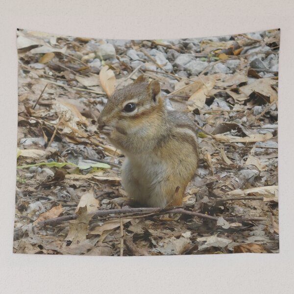 Item preview, Chipmunk 2 designed and sold by priesterjen.