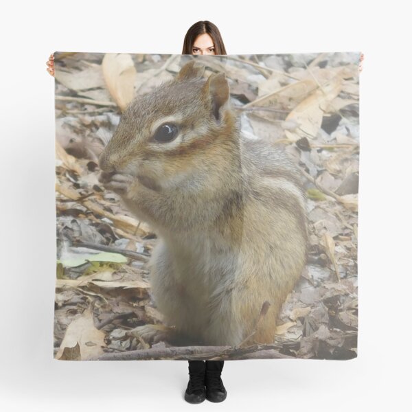 Item preview, Chipmunk 2 designed and sold by priesterjen.