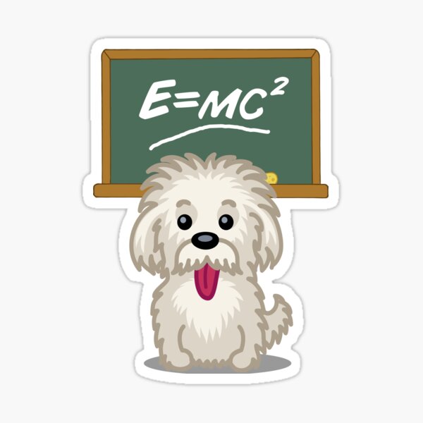 Shihtzu Shitzu Einstein dog tshirt - Dog Gifts for Shihtzu and Maltese Dog Lovers Sticker