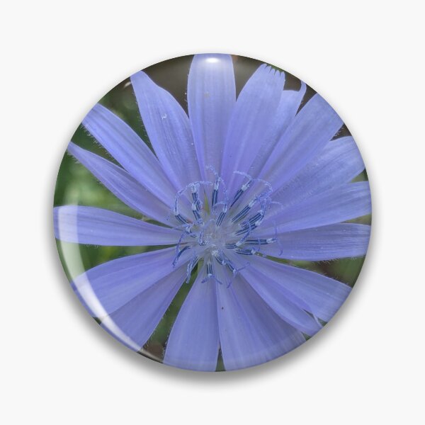 Item preview, Chicory blossom  designed and sold by arfff.